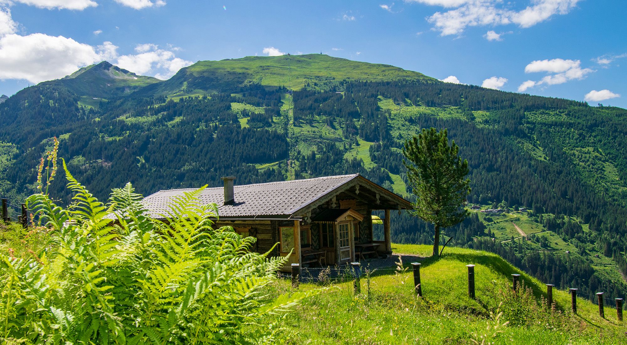 Schachenhütte | Bad Gastein | Nationalpark Hohe Tauern Hohe Tauern - Hauptansicht