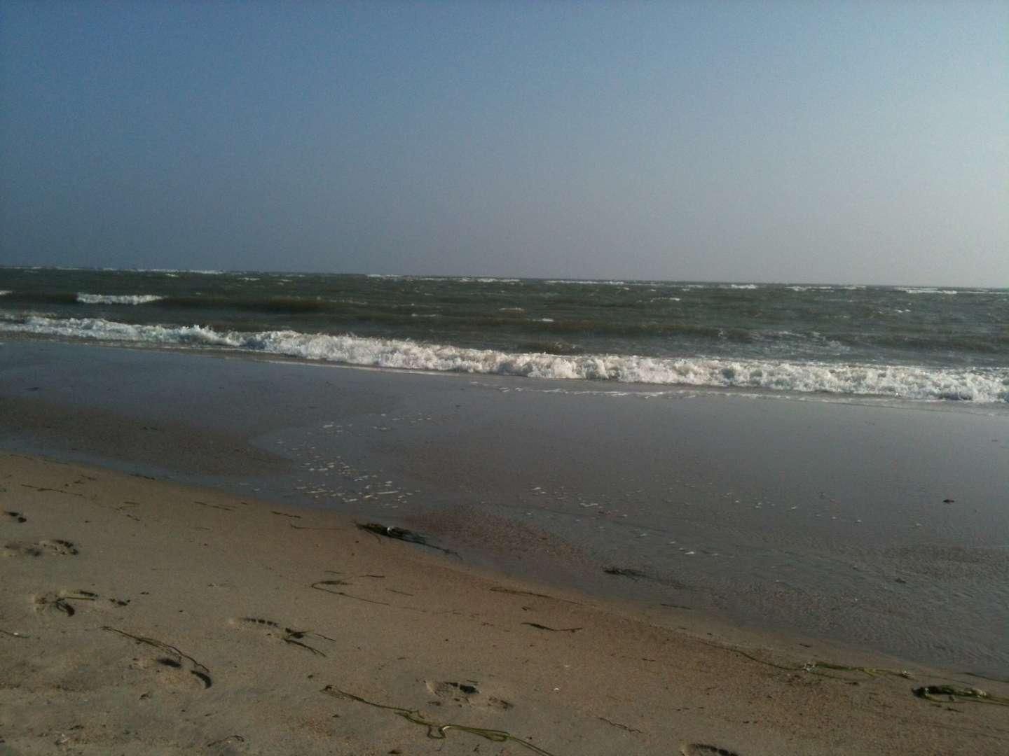 Strand
