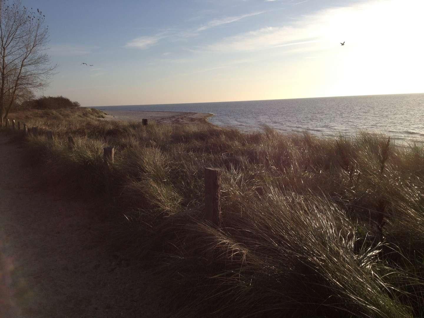 Strand