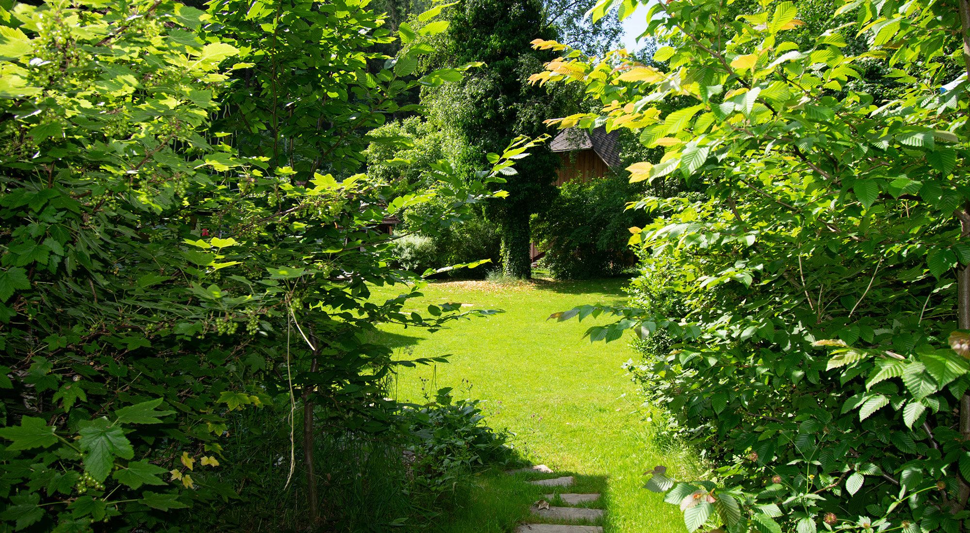  Gruppenhaus Waldheimat | Semmering | Steiermark Steiermark - Garten