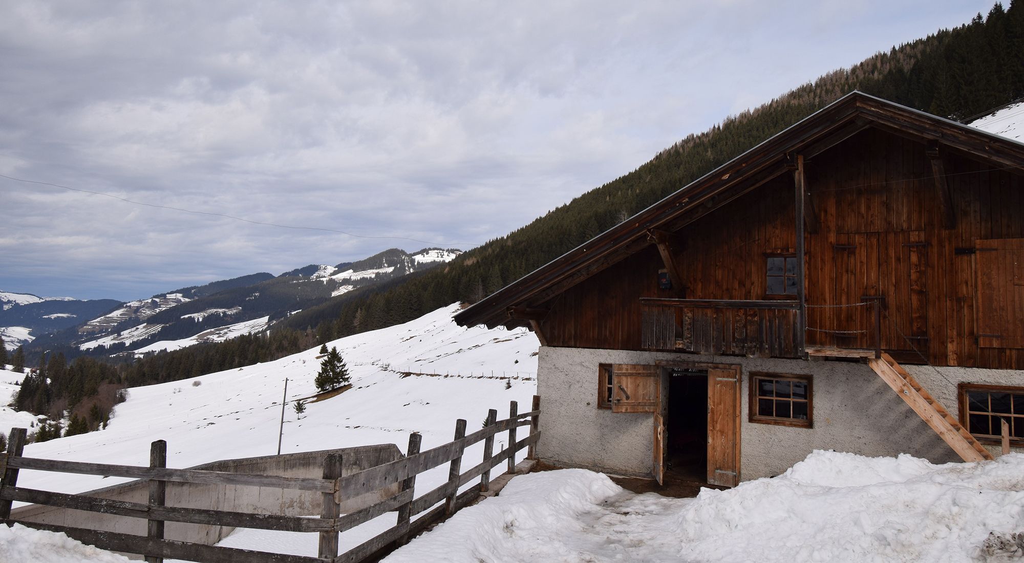  Schönanger Skihütte Wildschönau Tirol Tirol - 