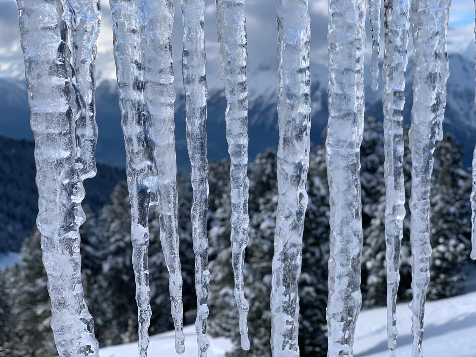  Schönanger Skihütte Wildschönau Tirol Tirol - 