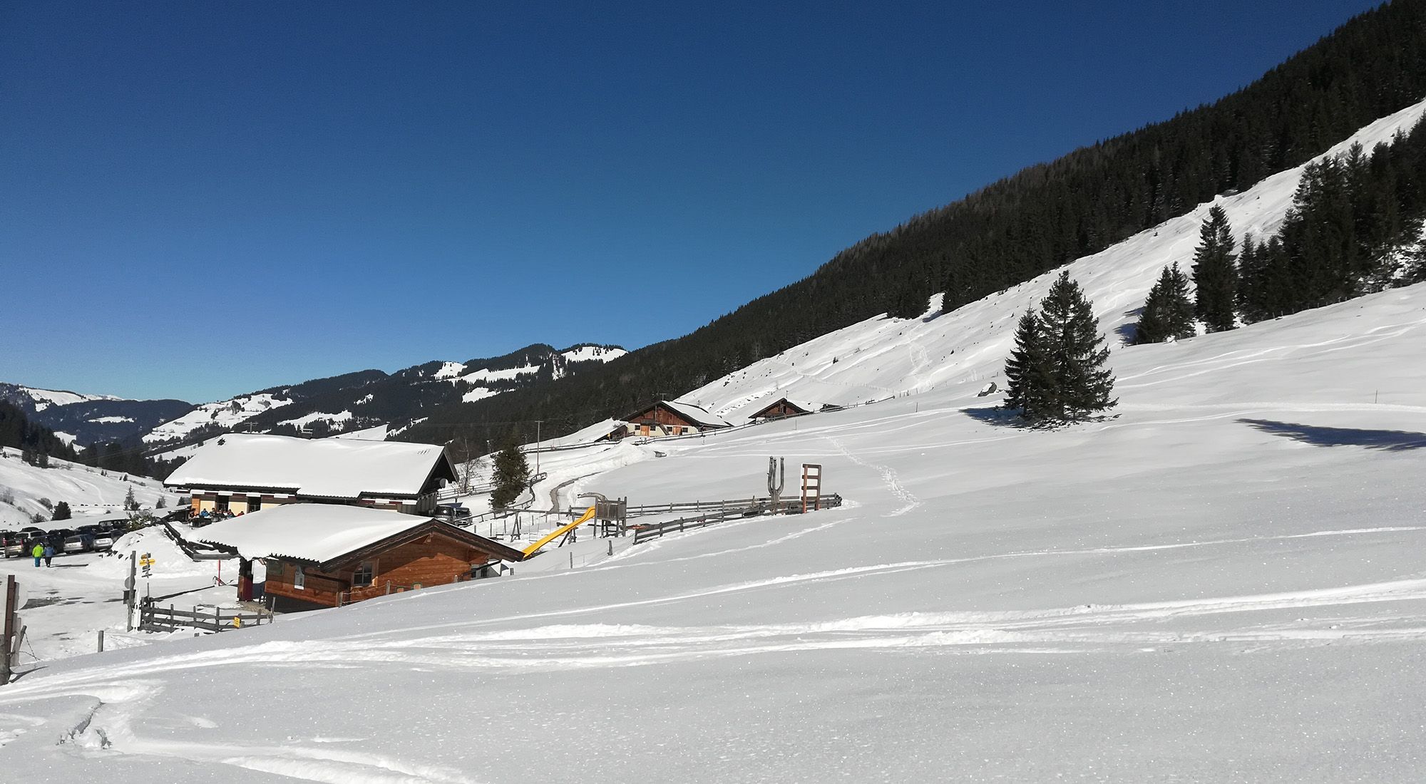  Schönanger Skihütte Wildschönau Tirol Tirol - 