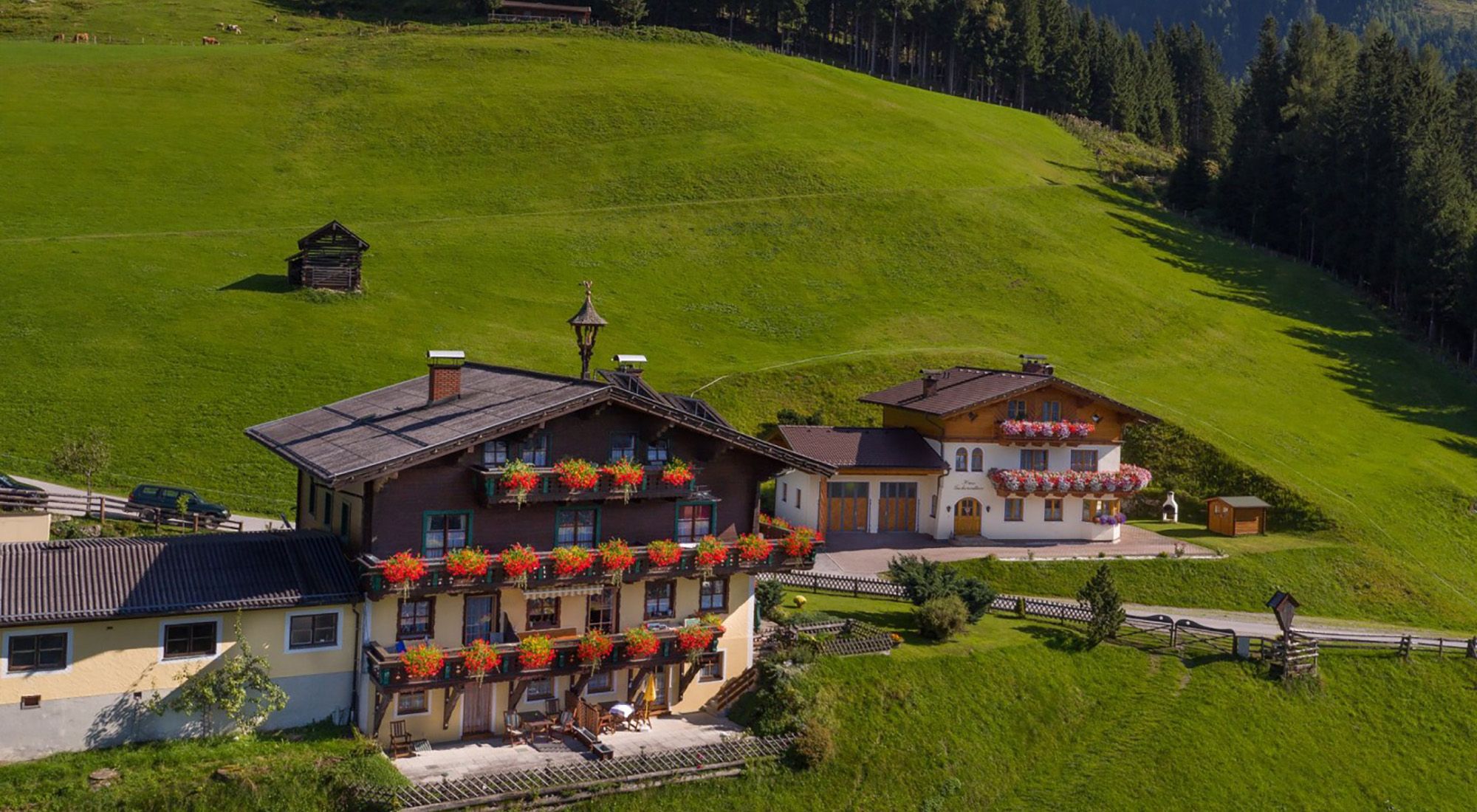 Schachengut Appartement | Bad Gastein Appartment Graukogel | Gasteinertal | Salzburg Hohe Tauern - 