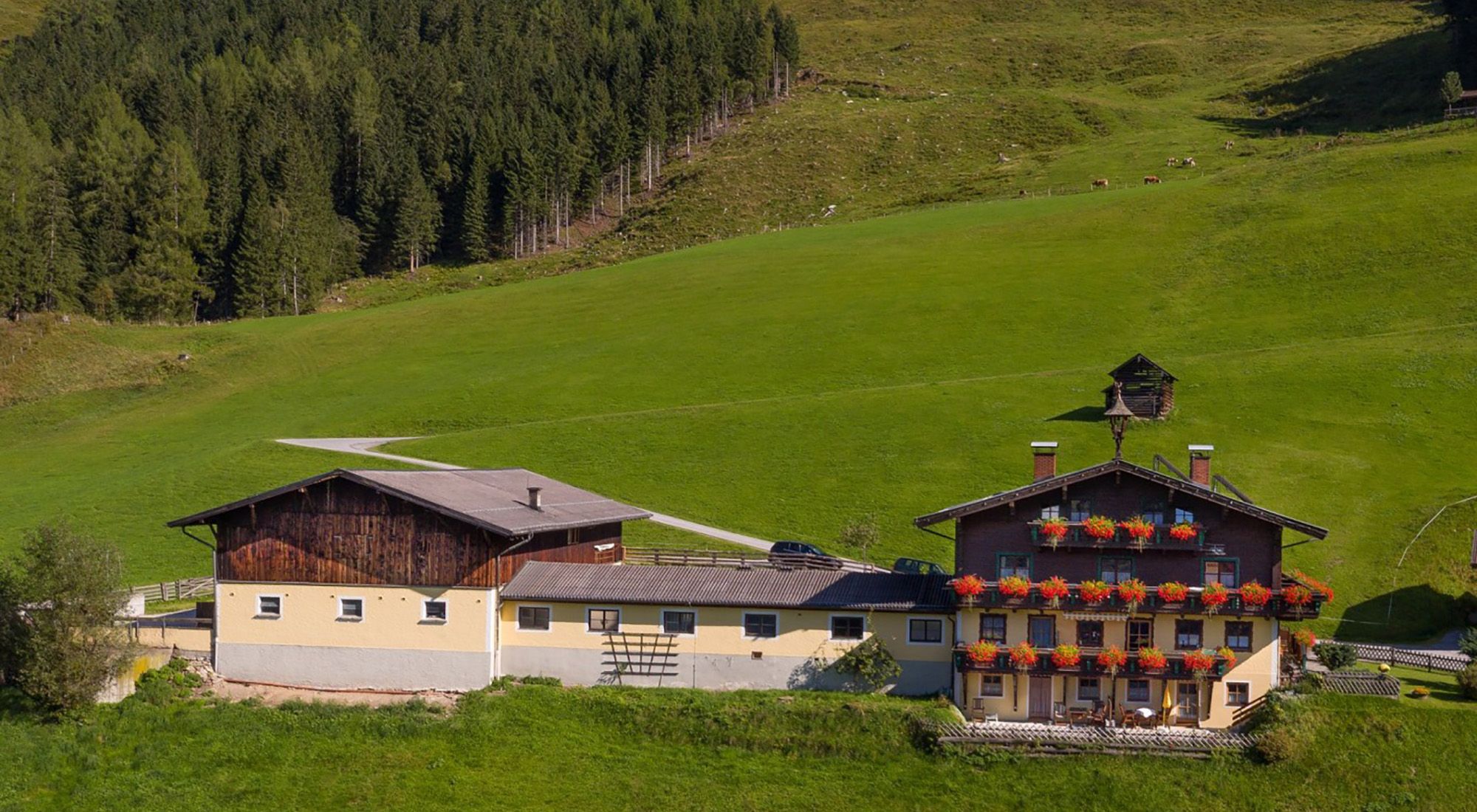 Schachengut Appartement | Bad Gastein Appartment Graukogel | Gasteinertal | Salzburg Hohe Tauern - 