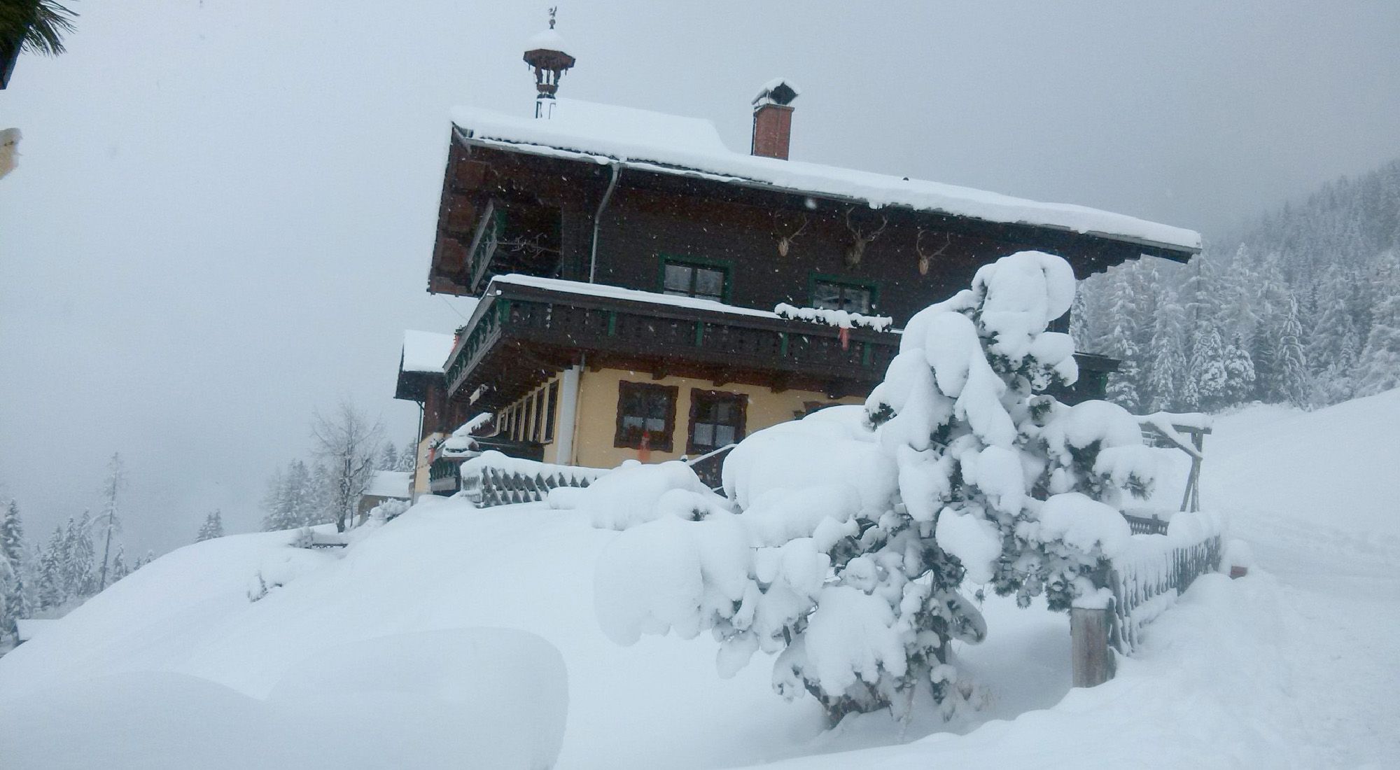 Schachengut Appartement | Bad Gastein Appartment Graukogel | Gasteinertal | Salzburg Hohe Tauern - 