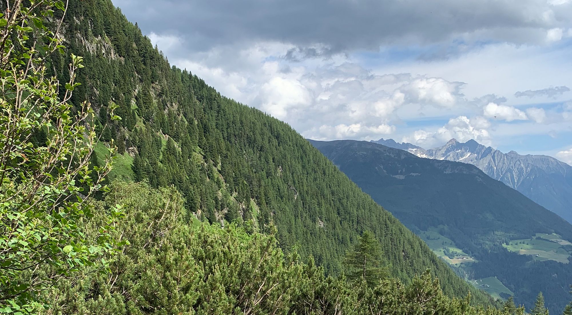 Schöllbergalm im Rotbachtal  | Ahrntal | Südtirol Südtirol -