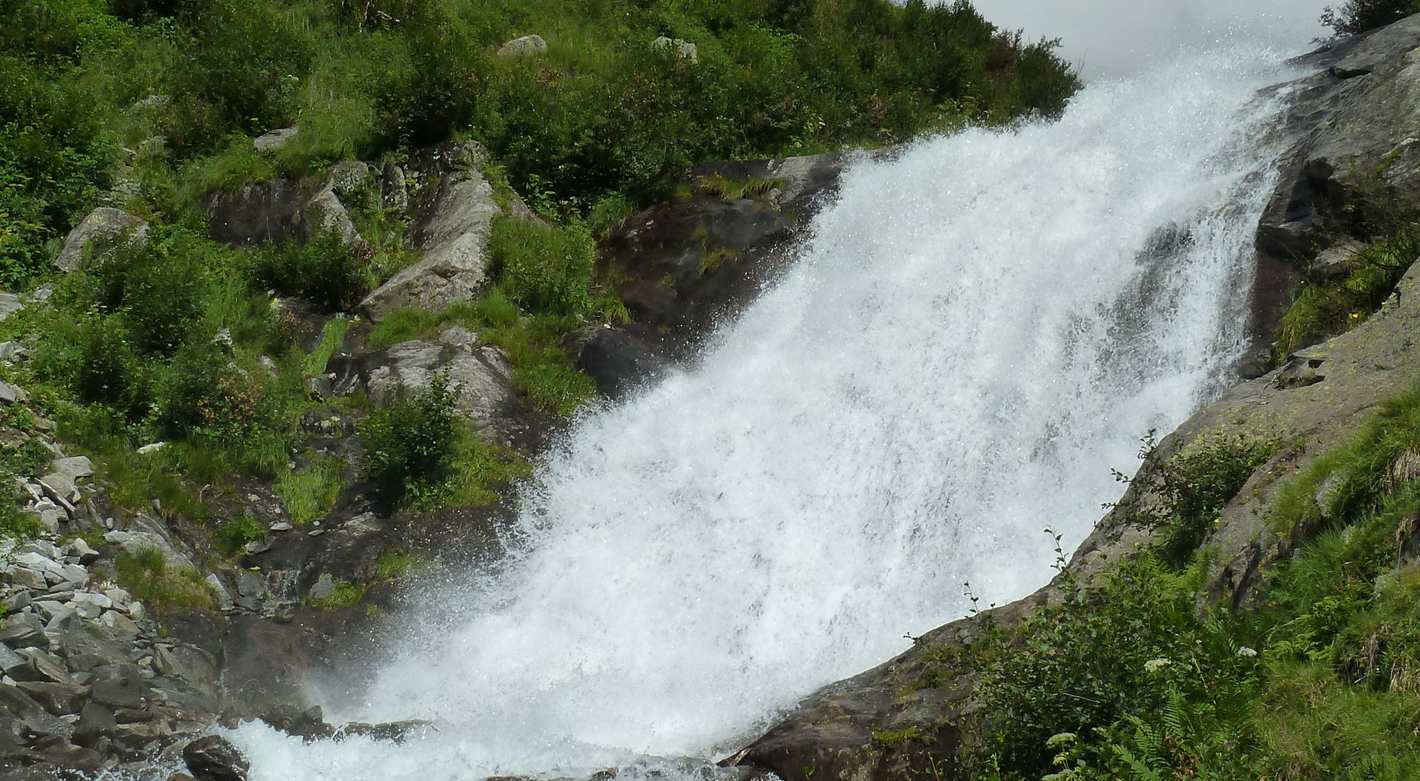 Schöllbergalm im Rotbachtal  | Ahrntal | Südtirol Südtirol -